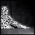 Фэшн-фрик Leigh Bowery